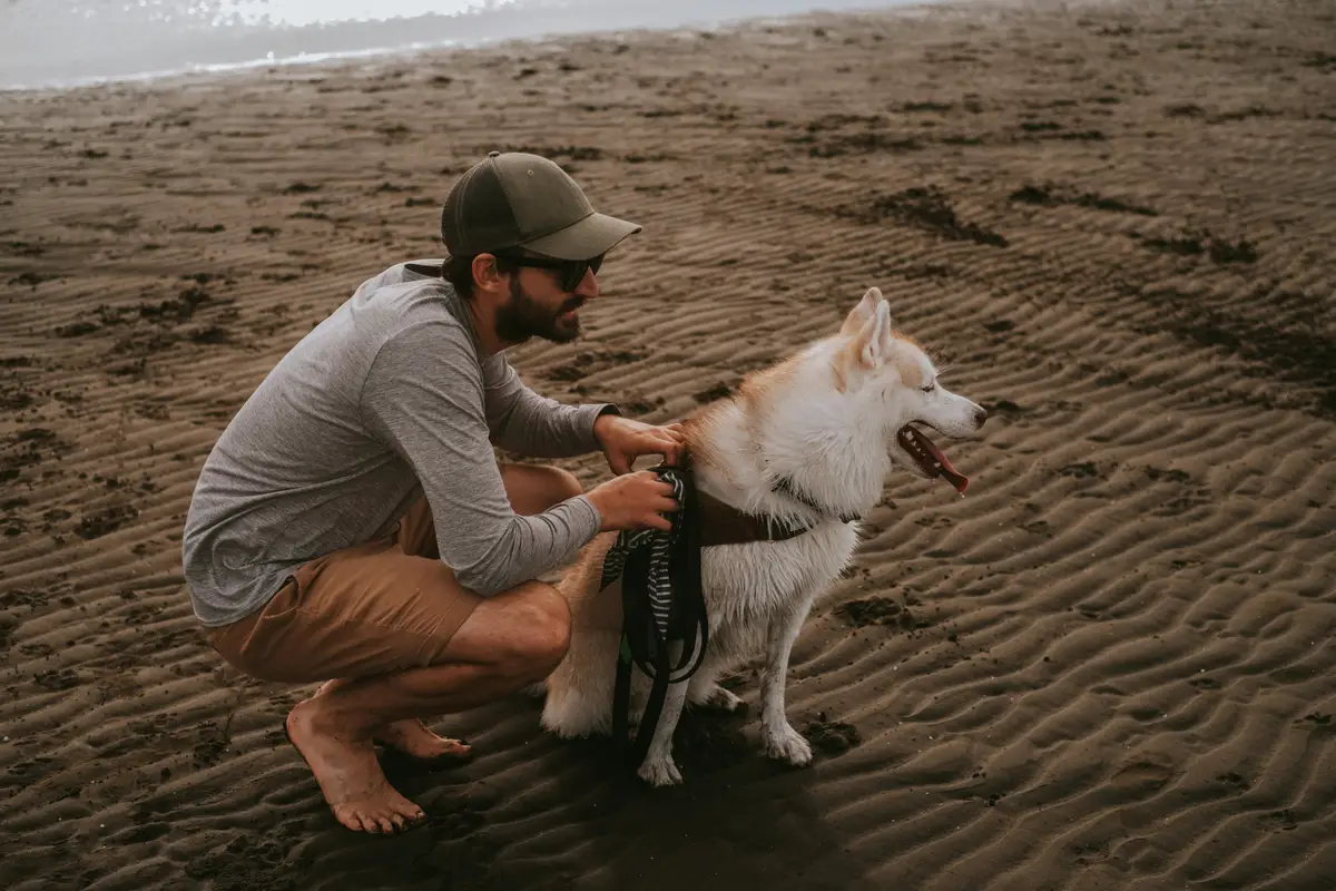 Jasny Plan Działania